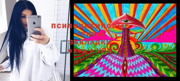 ECSTASY Кинешма