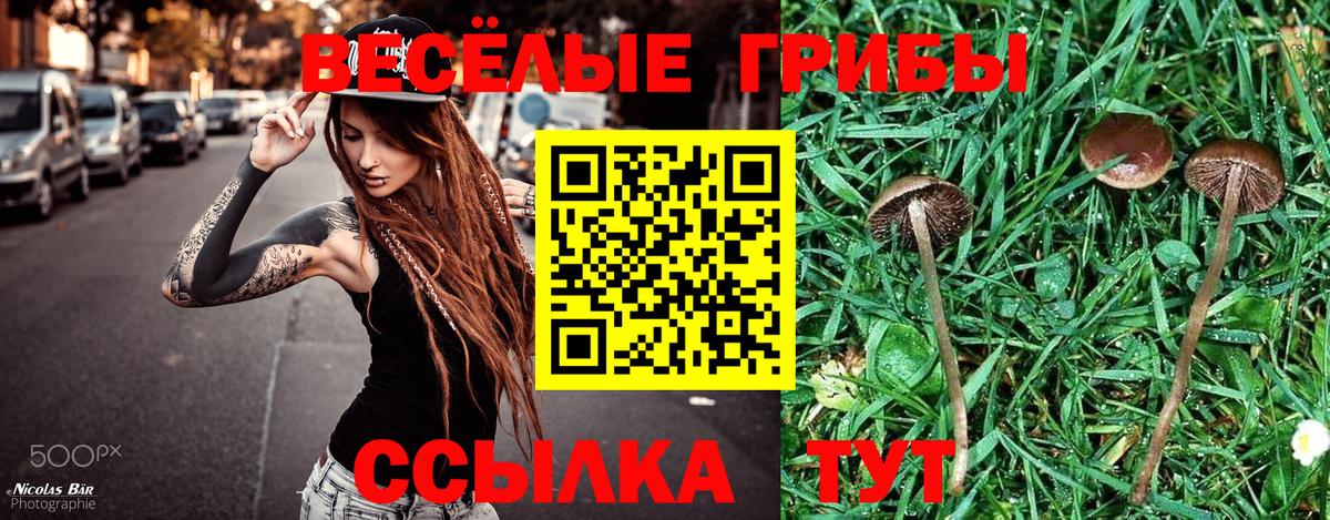 Галлюциногенные грибы MAGIC MUSHROOMS  Вход с VPN  Красноуфимск  наркота  Галлюциногенные грибы Cubensis 